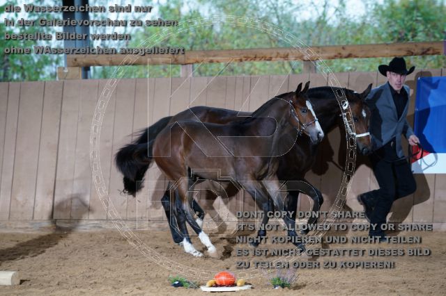 s_K3F04953.JPG